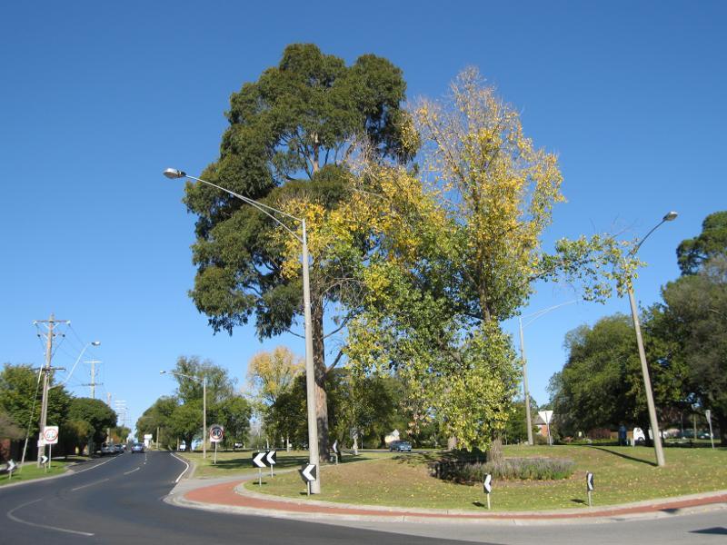 Berwick - Commercial centre and shops, High Street: View east along High St at Wheeler St