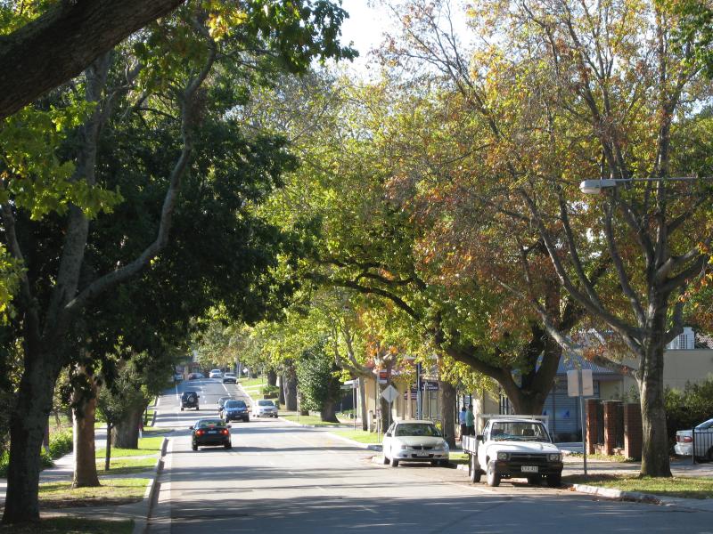 Berwick - Gloucester Avenue: View north along Gloucester Av towards Langmore La