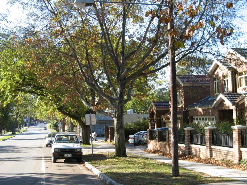 Berwick - Gloucester Avenue: View north along Gloucester Av, south of Langmore La