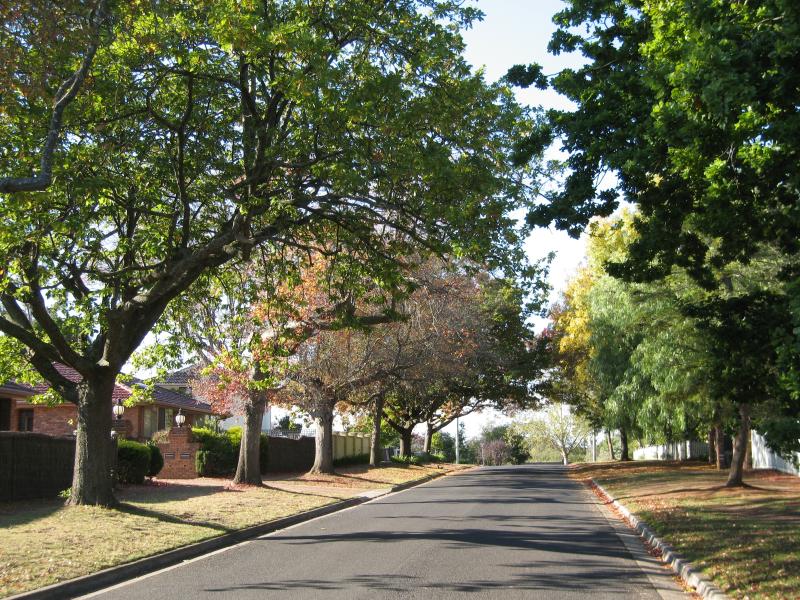 Berwick - Avenue of Honour and surrounding streets: View north-east along Church St at Palmerston St