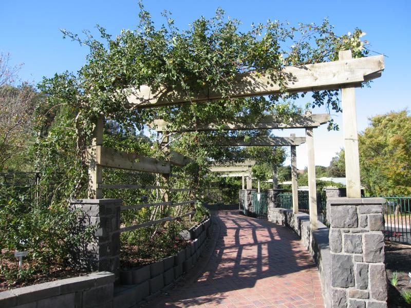 Berwick - Wilson Botanic Park: Walkway of roses at visitor centre