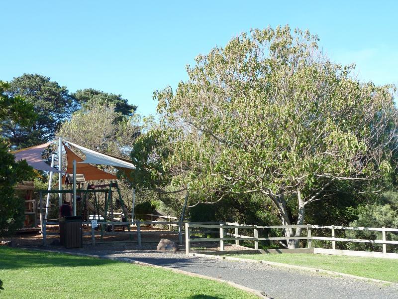 Berwick - Wilson Botanic Park - Playground