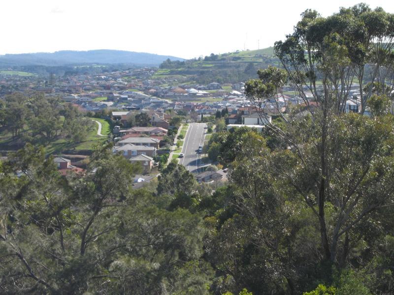 Berwick - Wilson Botanic Park: Northerly view towards Telford Dr from Hoo Hoo lookout tower