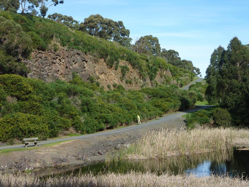Berwick - Wilson Botanic Park: Basalt rock face at Basalt Lake
