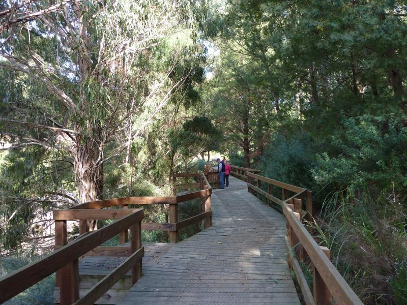 Berwick - Wilson Botanic Park: Boardwalk along western side of Basalt Lake