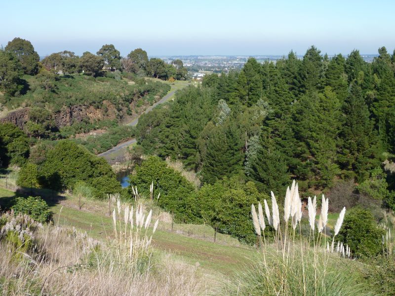 Berwick - Wilson Botanic Park: View of basalt rock face from pathway around Basalt Lake
