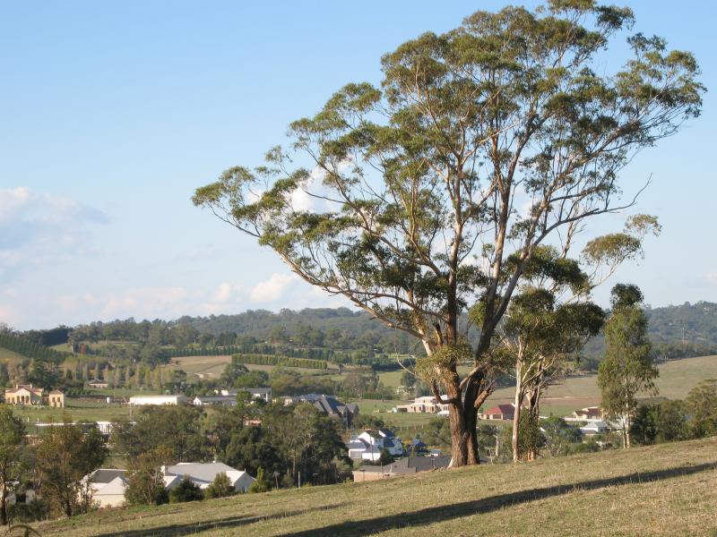 Berwick - Beaumont Road: View north-east from Beaumont Rd near Beaumont View La