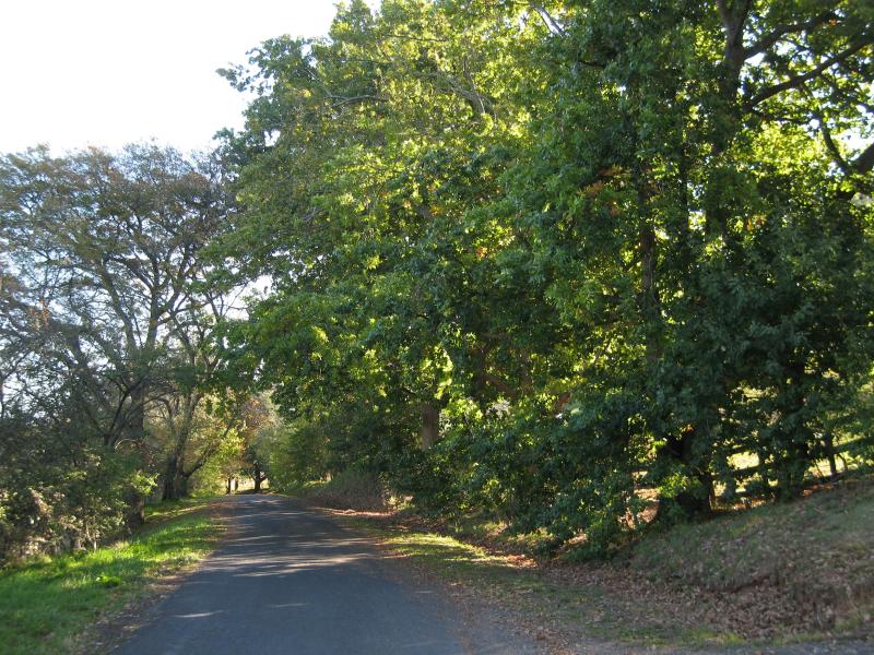 Berwick - Beaumont Road: View south-west along Beaumont Rd near end of road
