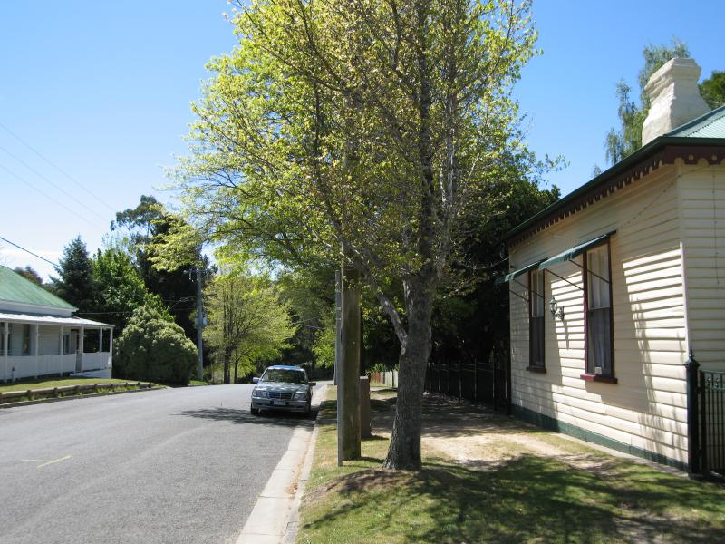 Blackwood - Shops and commercial centre, Martin Street: View north along Martin St, north of Golden Point Rd