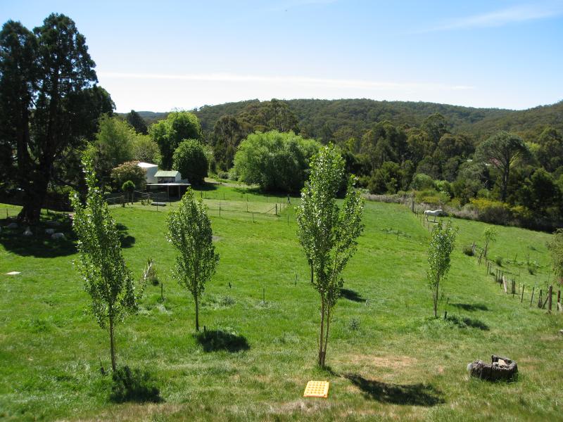 Blackwood - Around Blackwood: View north, Golden Point Rd east of Martin St