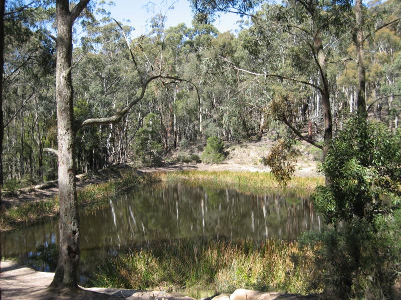 Blackwood - Shaws Lake and surroundings: Shaws Lake