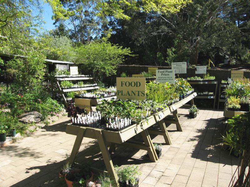 Blackwood - St Erth Gardens, Simmons Reef Road: Plant nursery