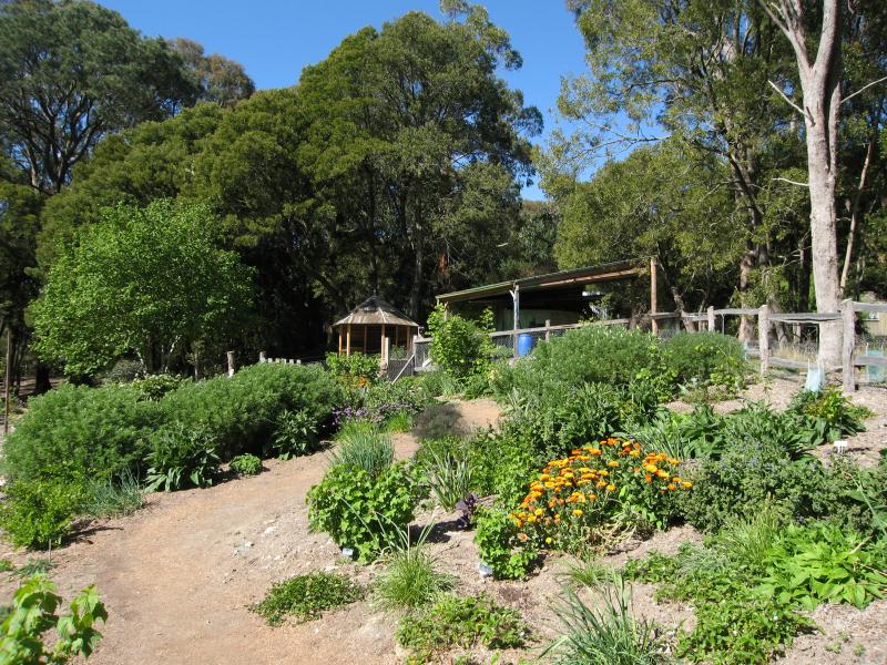 Blackwood - St Erth Gardens, Simmons Reef Road: Food garden