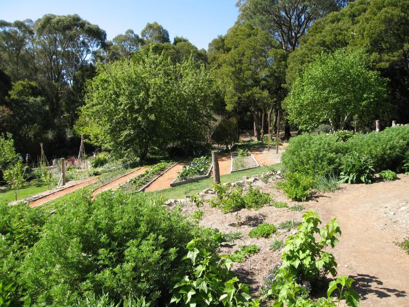 Blackwood - St Erth Gardens, Simmons Reef Road: Food garden