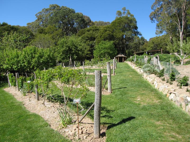 Blackwood - St Erth Gardens, Simmons Reef Road: Orchard