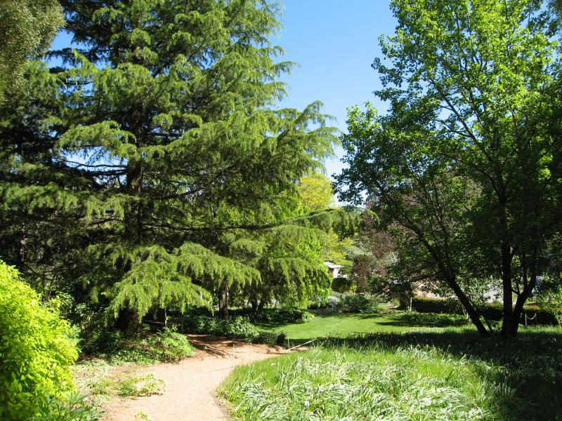 Blackwood - St Erth Gardens, Simmons Reef Road: Pathway through gardens