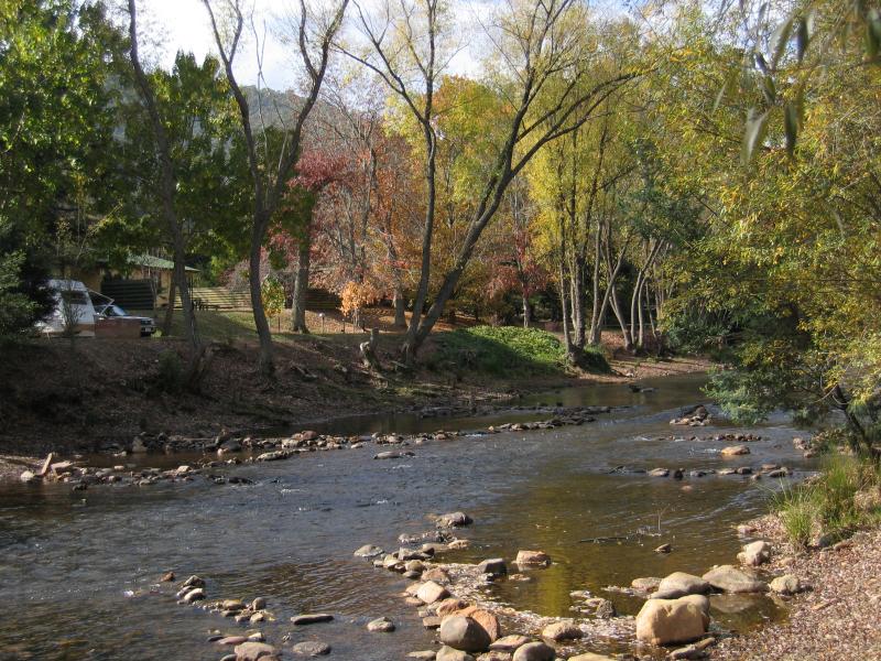 Bright - Howitt Park, Centenary Park, Ovens River: View east along Ovens River, Howitt Park