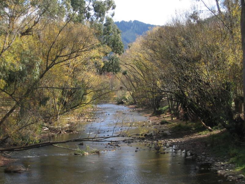 Bright - Howitt Park, Centenary Park, Ovens River: View west along Ovens River from footbridge