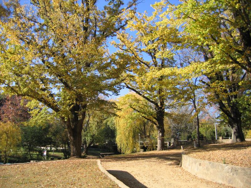 Bright - Howitt Park, Centenary Park, Ovens River: View east through Centenary Park towards Morses Creek