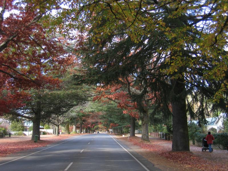 Bright - Great Alpine Road east of Bright: View east along Delany Av at Churchill Av