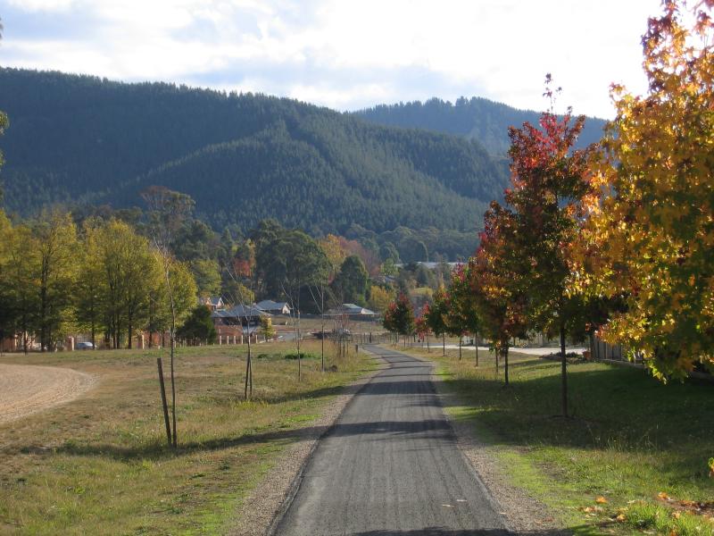 Bright - Murray to the Mountains Rail Trail - View west along rail trail, Mill Rd