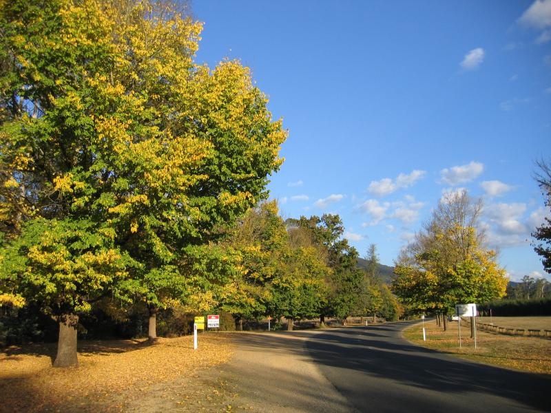 Bright - Pioneer Park and Coronation Avenue: View south-east along Morses Creek Rd just east of Churchill Av and Coronation Av