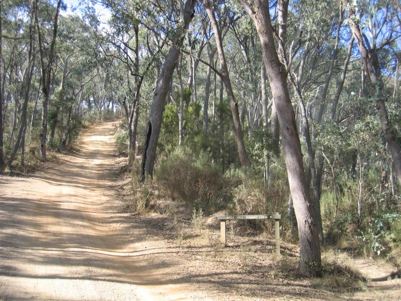 Bright - Apex Lookout: Walking track to Apex Lookout from access road