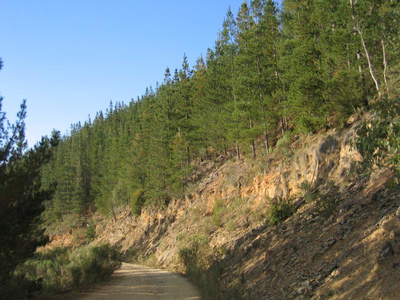 Bright - Huggins Lookout: Access road, one kilometre from Huggins Lookout