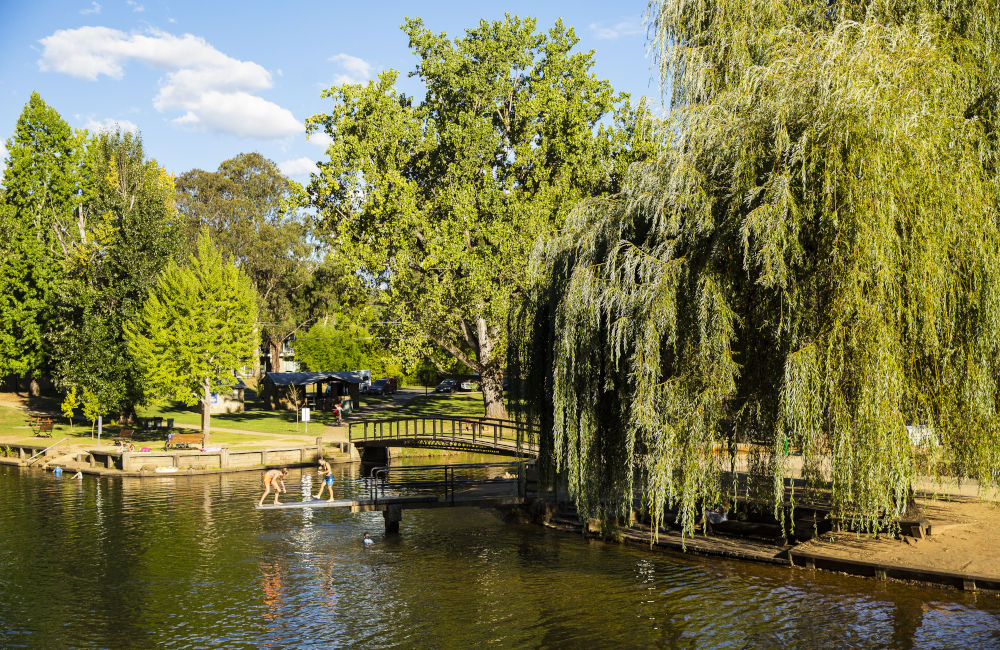 Bright - Junction of Ovens River and Morses Creek in Centenary Park