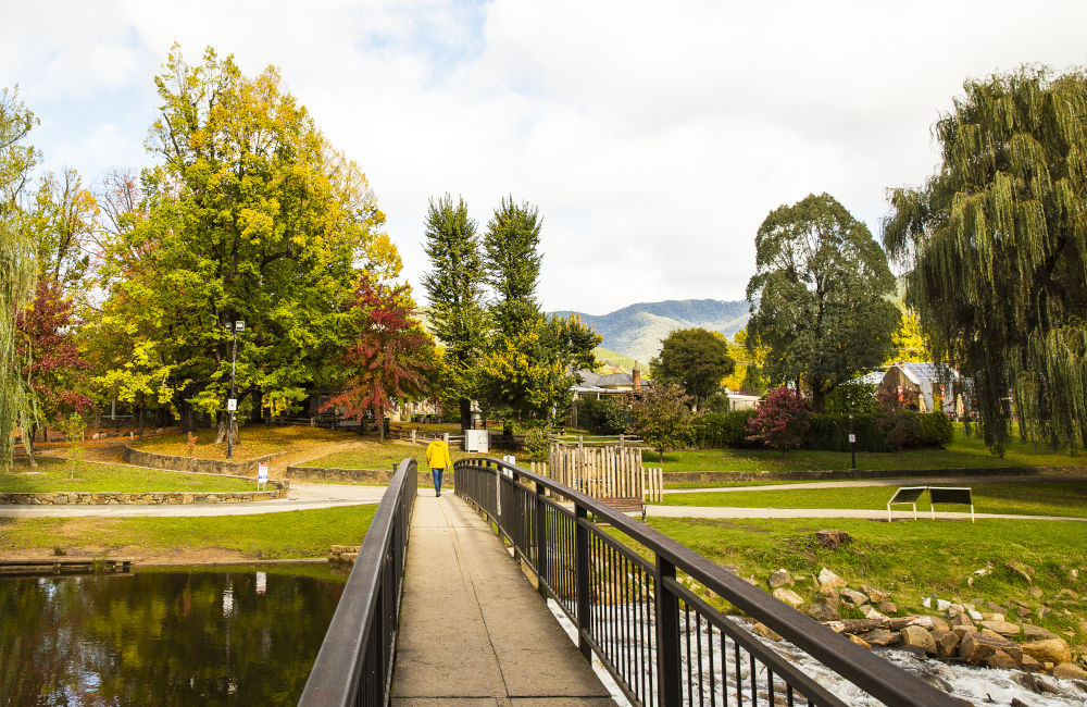 Bright - Footbridge across Ovens River in Centenary Park