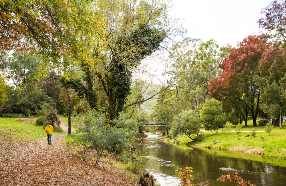 Bright - Parkland along Ovens River