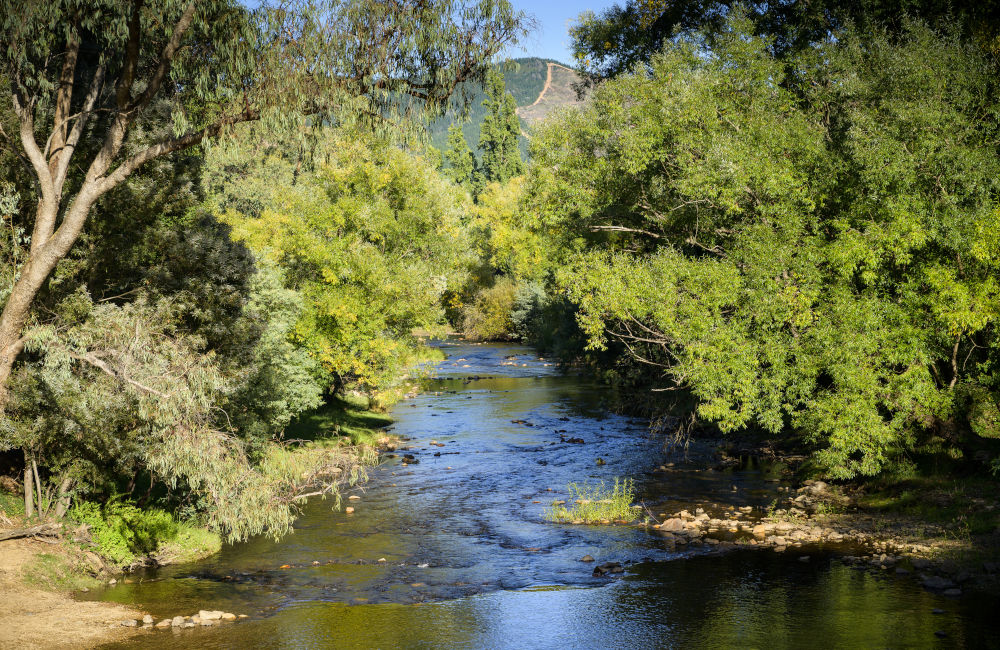 Bright - Ovens River