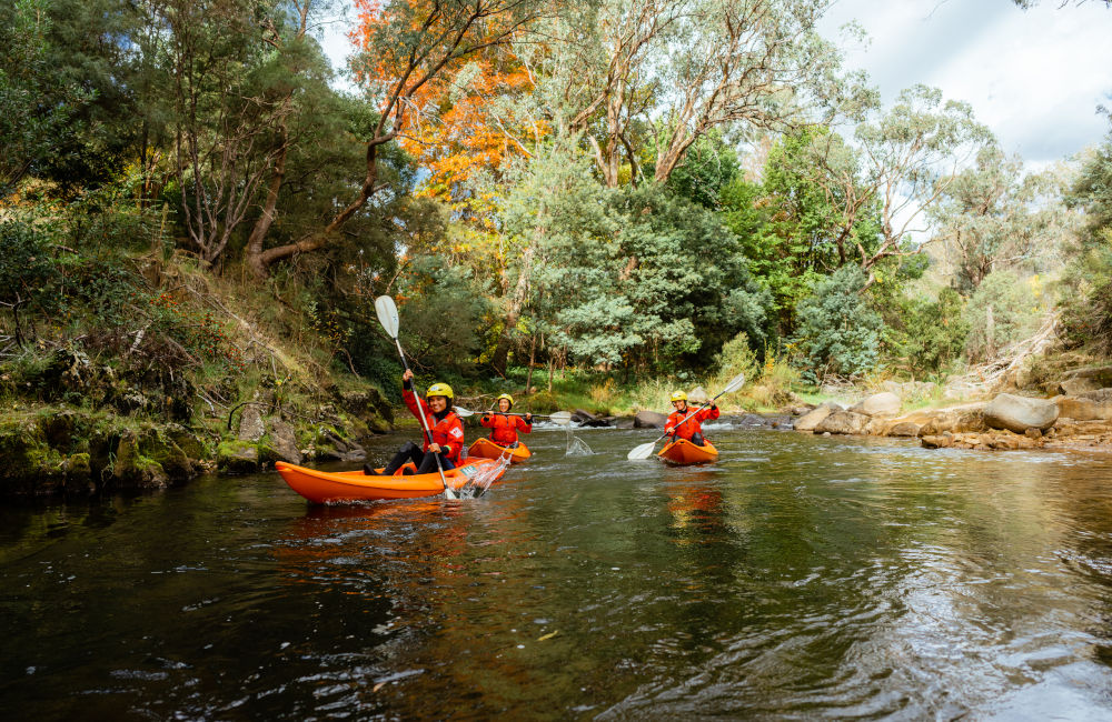 Bright - Kayaking on Ovens River