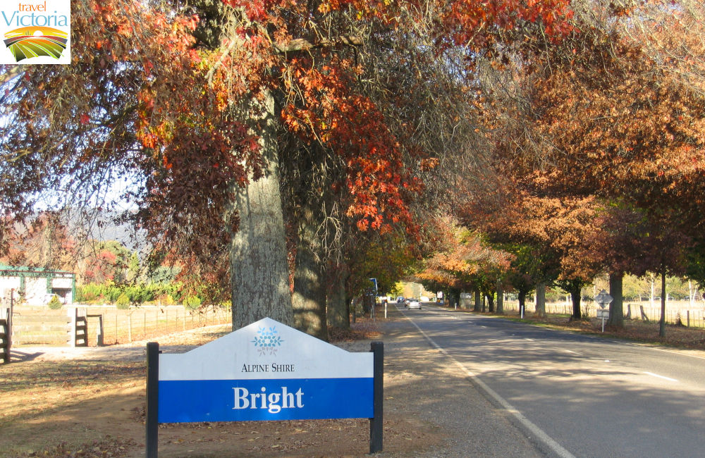Bright - Town sign, Great Alpine Road west side of Bright