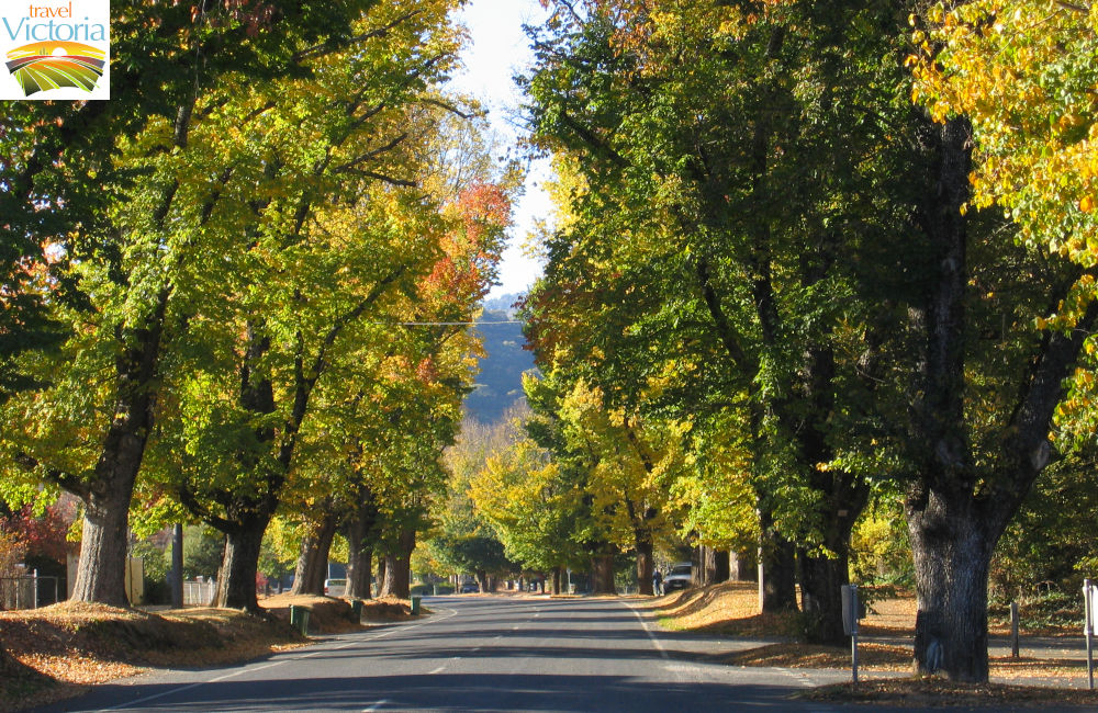 Bright - Delany Avenue at Cherry Lane