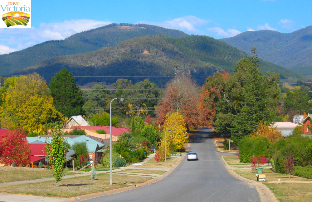 Bright - Mount Porepunkah Road approaching Norman Court
