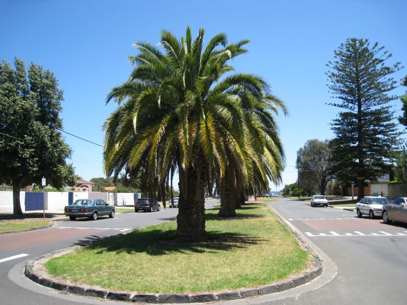 Brighton - Foreshore and beach at end of North Road: View west along North Rd at Brandon Cl