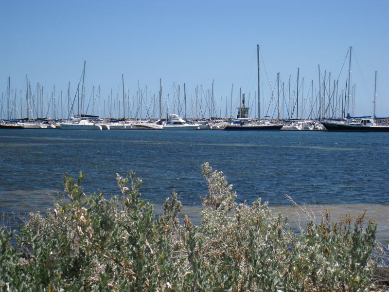 Brighton - Beach and coastline between North Road and Middle Brighton Pier: View towards marina from Seacombe Grove Beach