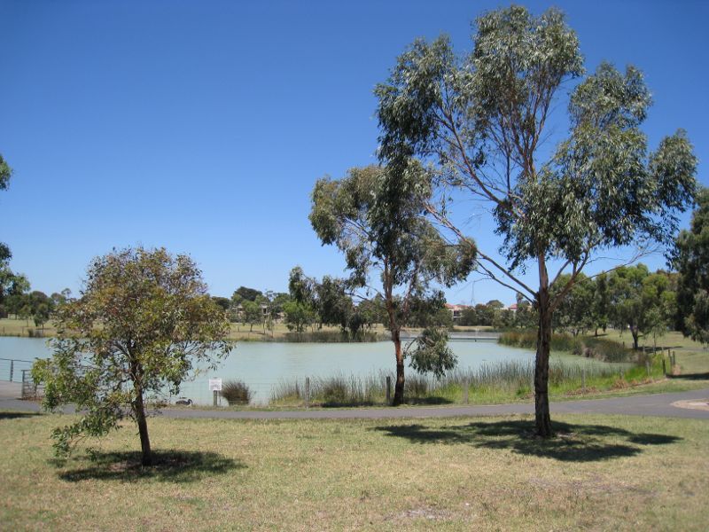 Brighton - Elsternwick Park, Bent Avenue: View from northern side of lake