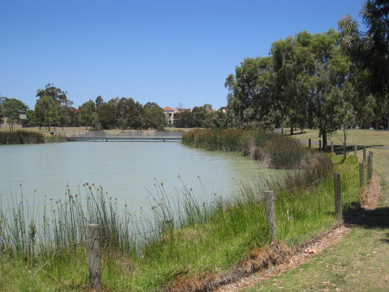 Brighton - Elsternwick Park, Bent Avenue: Southerly view along western side of lake