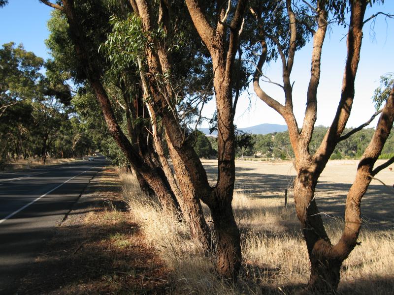 Broadford - Kilmore Road south-west of Broadford: View north-east along Kilmore Rd, 3 km south of Broadford
