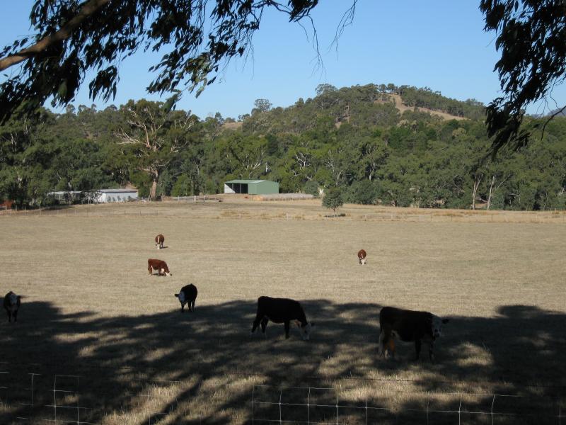 Broadford - Kilmore Road south-west of Broadford: South-easterly view from Kilmore Rd, 3 km south of Broadford