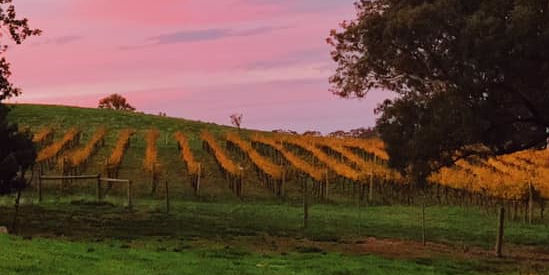 Sugarloaf Creek Estate, Broadford