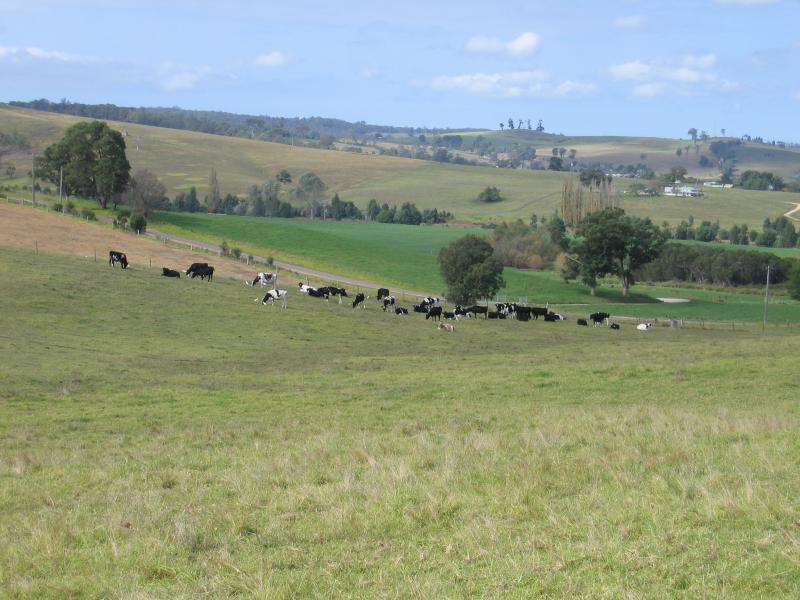 Bruthen - Outskirts of Bruthen: View south-east from Great Alpine Rd at Hoppner St