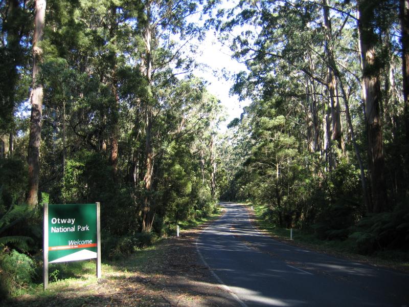 Cape Otway - Great Ocean Road east of Cape Otway: Great Ocean Road at entrance to Otway National Park, between Apollo Bay and Cape Otway