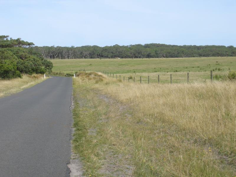 Cape Otway - Otway Lighthouse Road: View south along Otway Lighthouse Road, leaving Otway National Park