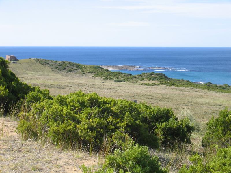 Cape Otway - Otway Lighthouse Road: View from Otway Lighthouse Road towards the coast