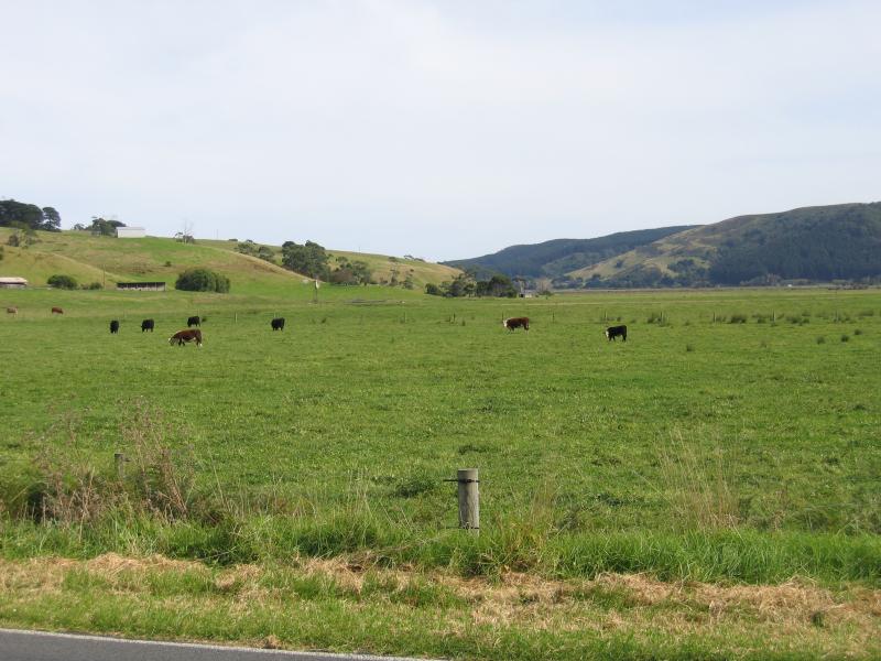 Cape Otway - Great Ocean Road near Hordern Vale: View along grazing land near road to Hordern Vale