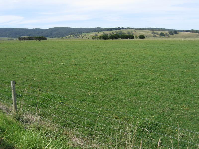 Cape Otway - Great Ocean Road near Aire River: Grazing land, east of Aire River