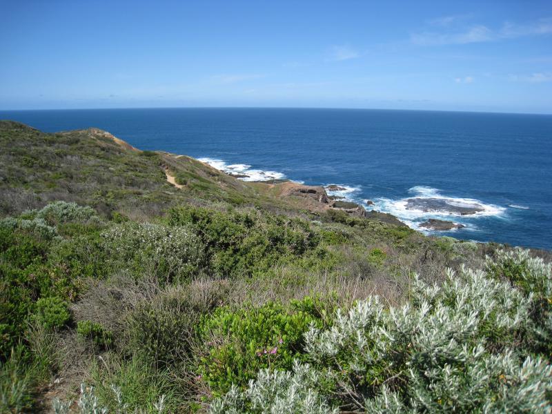 Cape Schanck - Walking tracks and lookouts around car park at end of Cape Schanck Road - View south-west along coast from lookout near car park